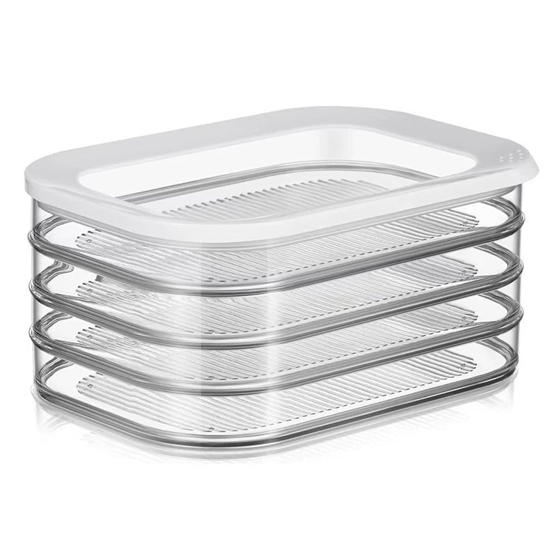 Multi-Layer Food Storage Box with Lid