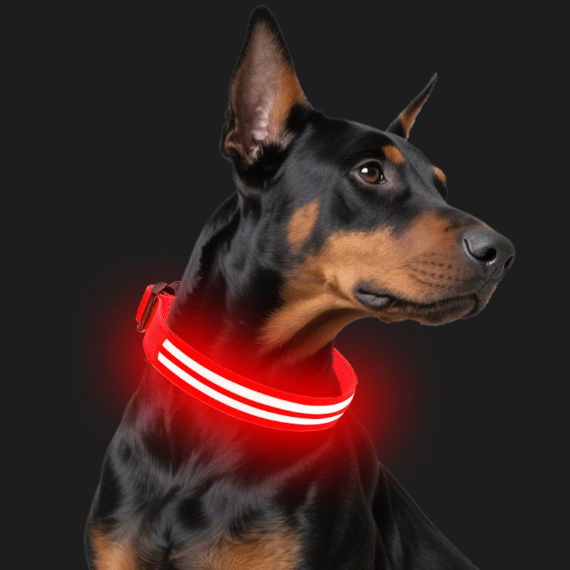 Dual Fiber Nighttime Luminous Dog Collar