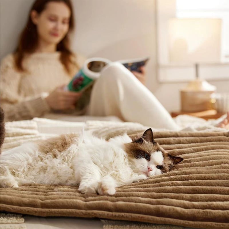 🐾Tapis auto-chauffant pour chats et petits chiens