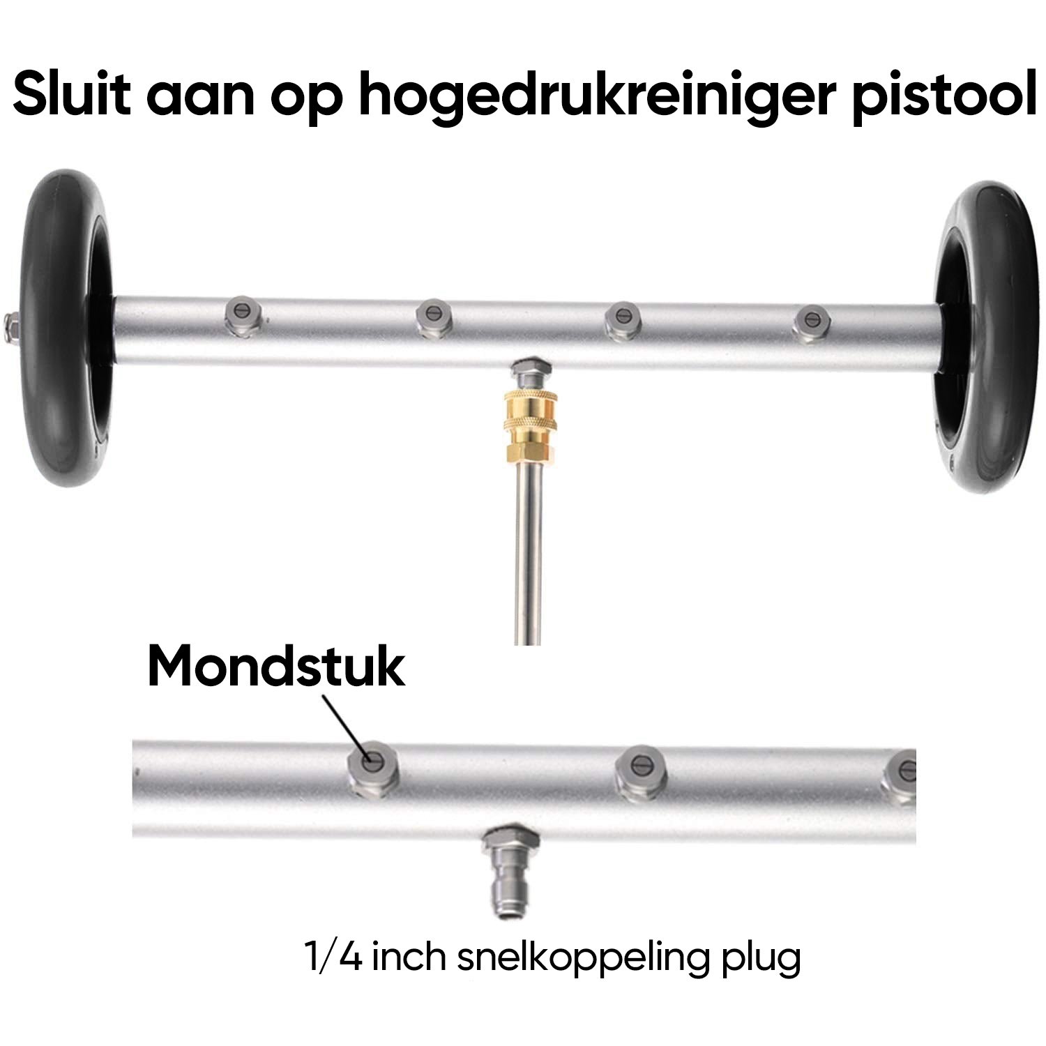 1-荷兰.jpg