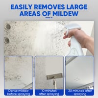 Fast Acting Anti-Mold Wall Cleaner Spray