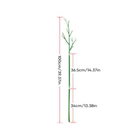 Plant climbing pole