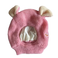 Dog Ear Muffs Noise-Protection Knitted Hat