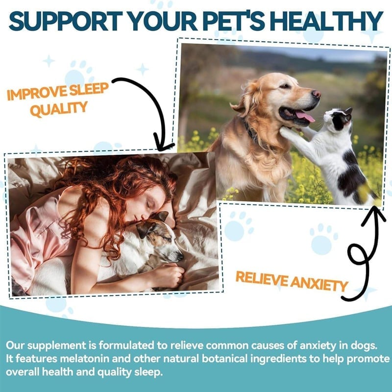 7556df7f-a379-4766-24f2-020c61955a00