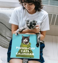 2025 Forbanna kattekalender