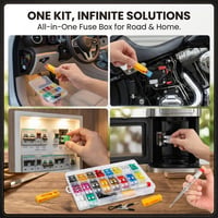 Assorted Automotive Blade Fuse Set