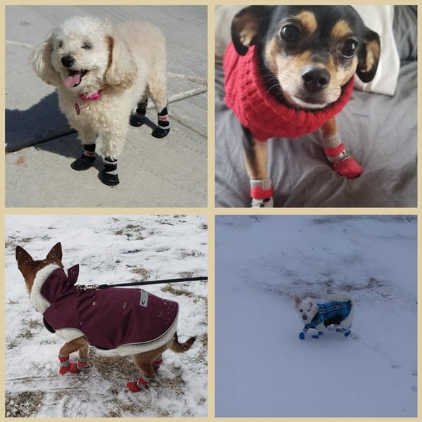 5_c3fd6610-0f9e-49ca-9e00-41b5c2262800