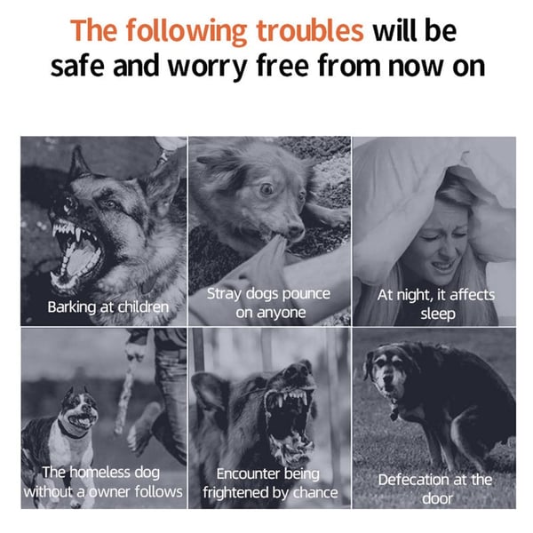 20851ffe-e313-4e3b-1aa2-7a63ab42b600