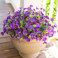 Artificial Morning Glory