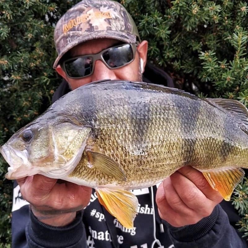 15a2d278-1cc7-48f8-999c-c95080542000