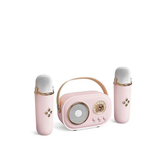 Portable Bluetooth Speaker with Wireless Microphone
