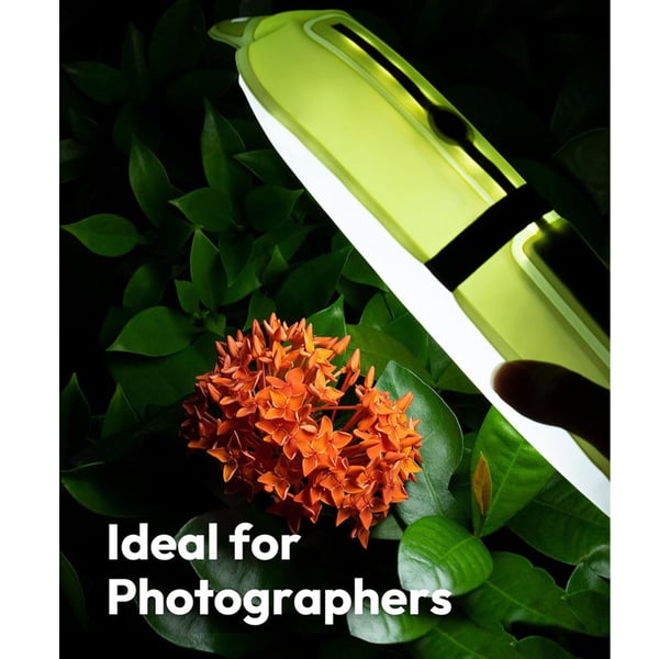 9_c6f4ec49-91ea-4802-bfce-325ebe099763