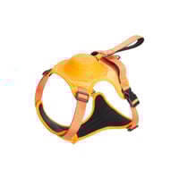 All-in-One Dog Harness and Retractable Leash Set