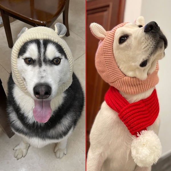 Dog Ear Muffs Noise-Protection Knitted Hat