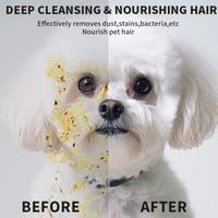 Pet Glove Wipes--20 PCS