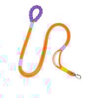 Dog reflective leash