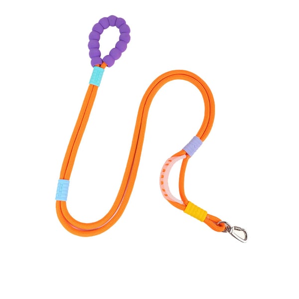 Dog reflective leash