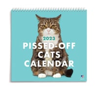 😾2024 Kalender med sure katte