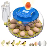 18-Egg Incubator