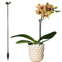 SALE Plant Support Stake