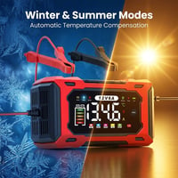 Professional 12V 6A Smart Lead-Acid Charger