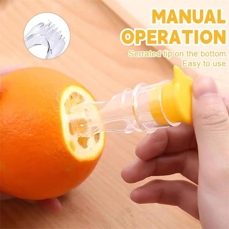 Mini manual fruit juicer