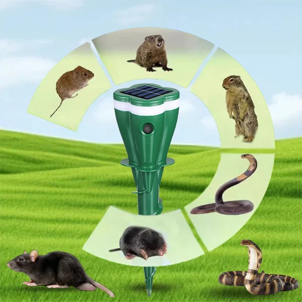 3_ea49649d-9b3c-467a-bf25-896a39700ae7