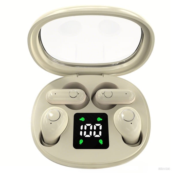 Dual Bluetooth Wireless Earbuds