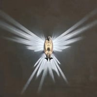 Weißkopfseeadler-Dekorations-Wandlampe