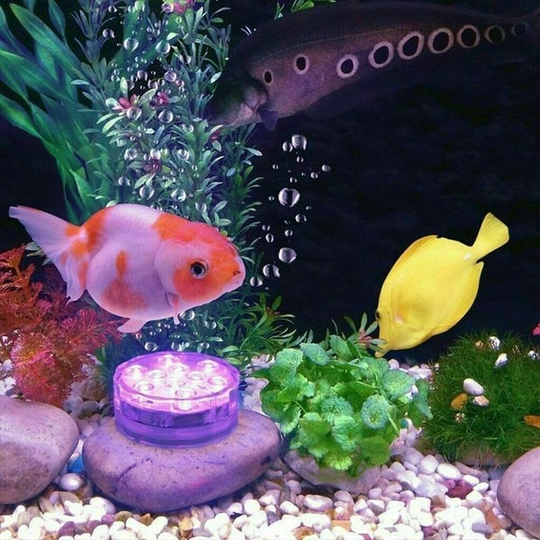 7_d2c2e789-df98-4535-a8ae-a5d7c426fee3