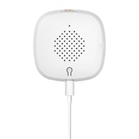 Intelligente HD-stick bewakingscamera met spraakfunctie