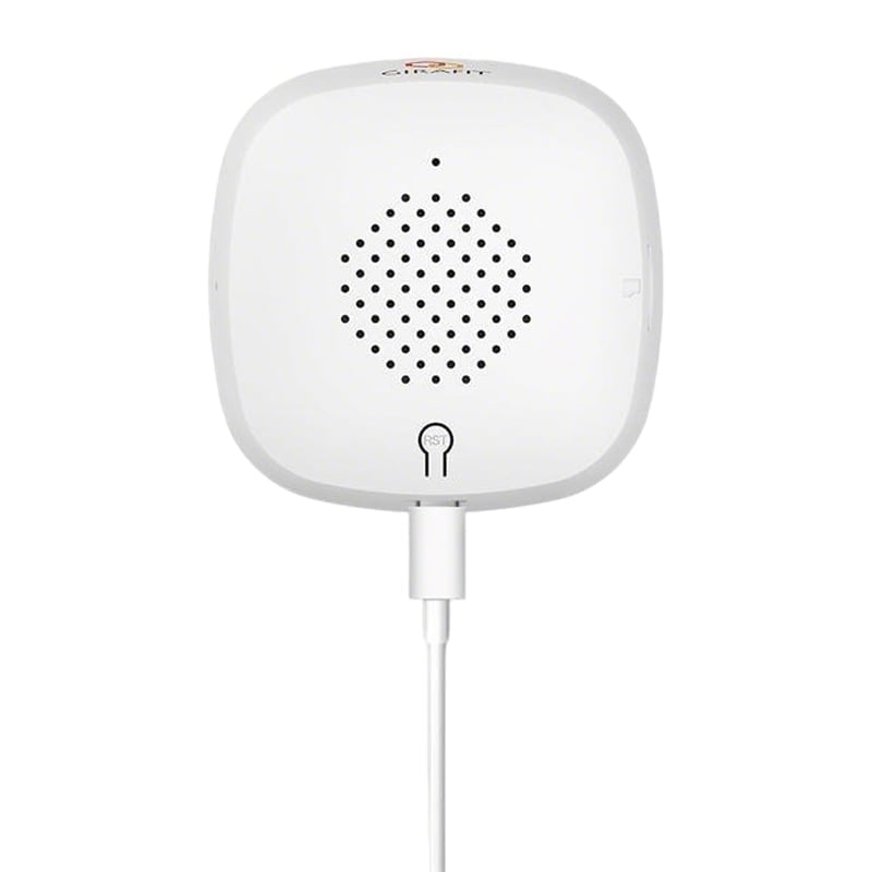 Intelligente HD-stick bewakingscamera met spraakfunctie