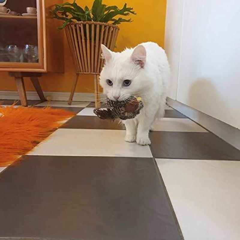 🐱 Katzenspielzeug - Simulierter zwitschernder Vogel