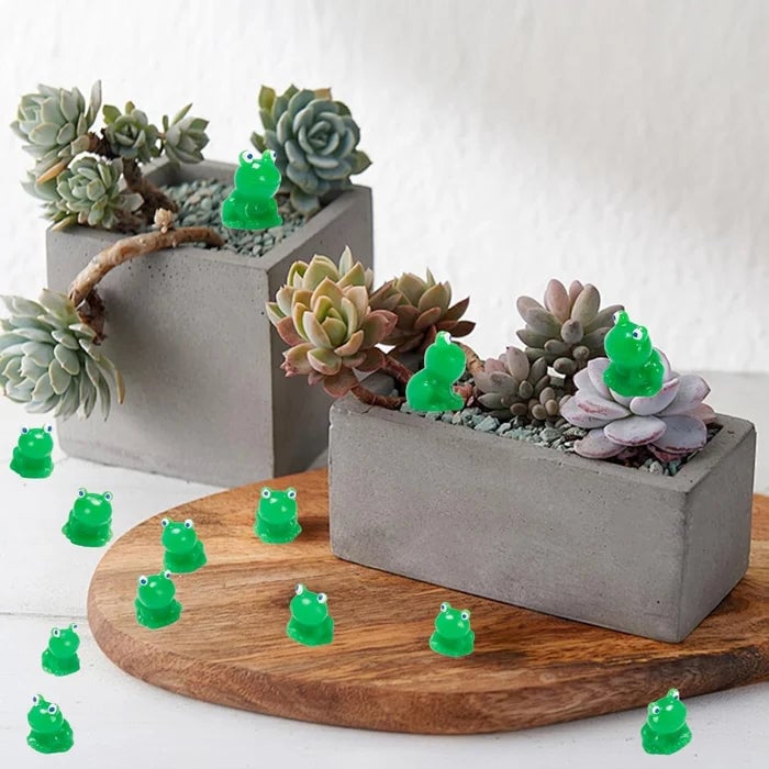 Uitdagingsspeelgoed voor kleine kikkers verbergen