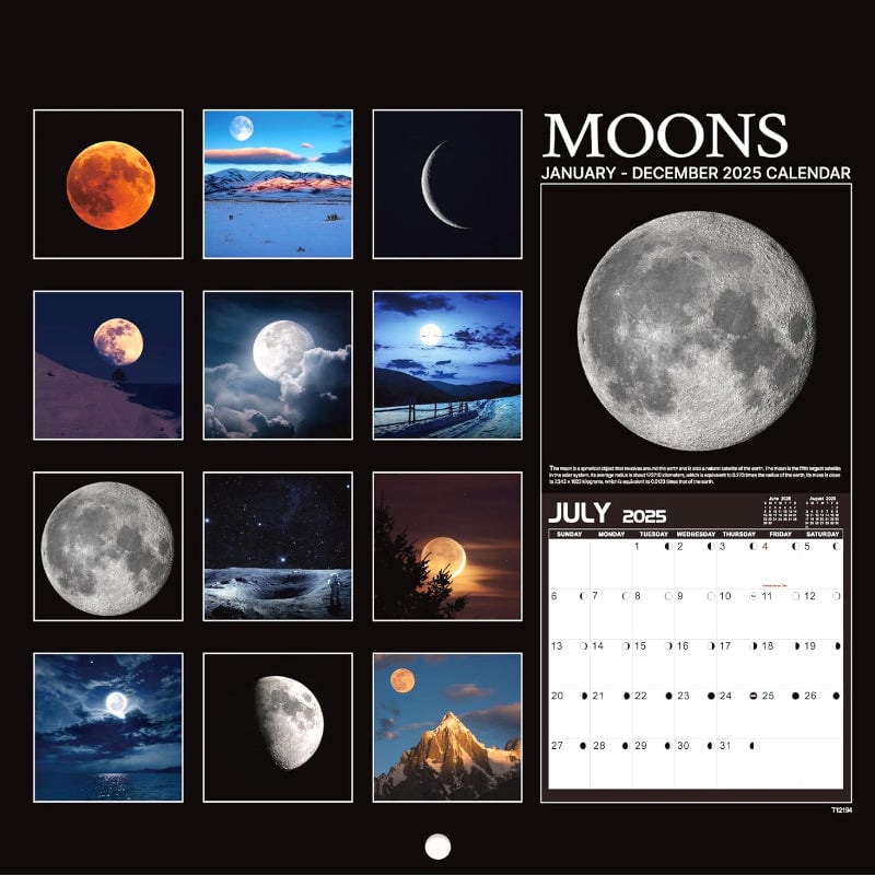 2025 Wall Calendar