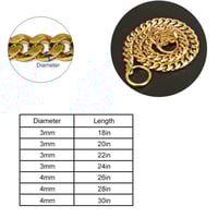 304 Stainless Steel Choker P Chain Snake Necklace