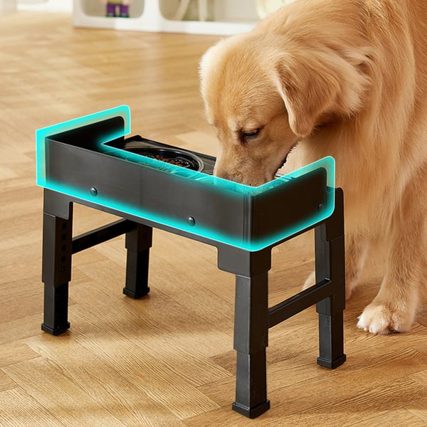 Adjustable Elevated Dog Bowl