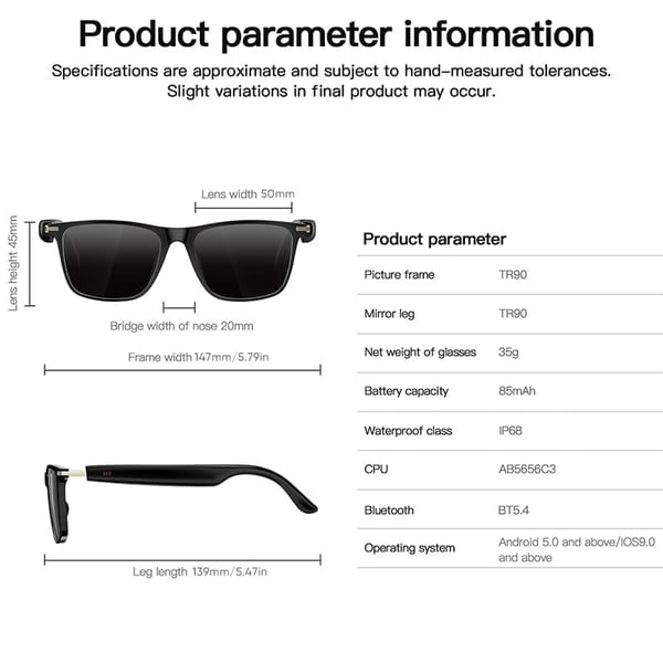 Sakerplus® AI Smart Translation Glasses