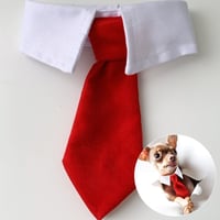 Doggy gentleman bow tie