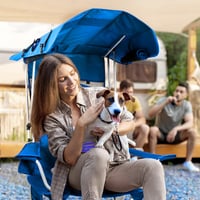 Foldable Camping Chair with Canopy and Fan
