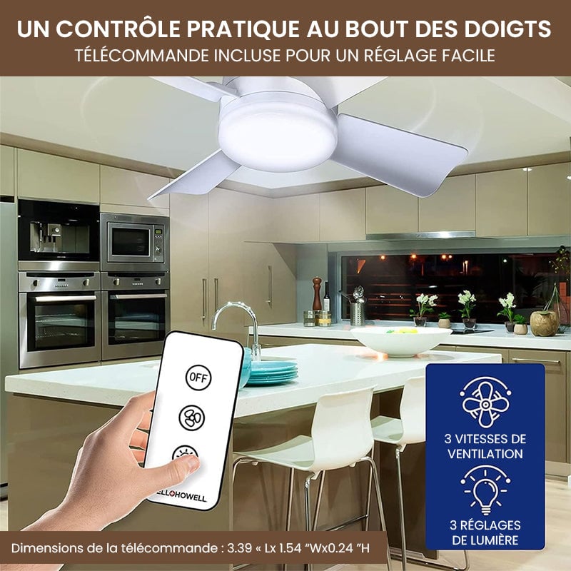 Ventilateur de plafond LED 2 en 1 avec télécommande, base E27E26/B22