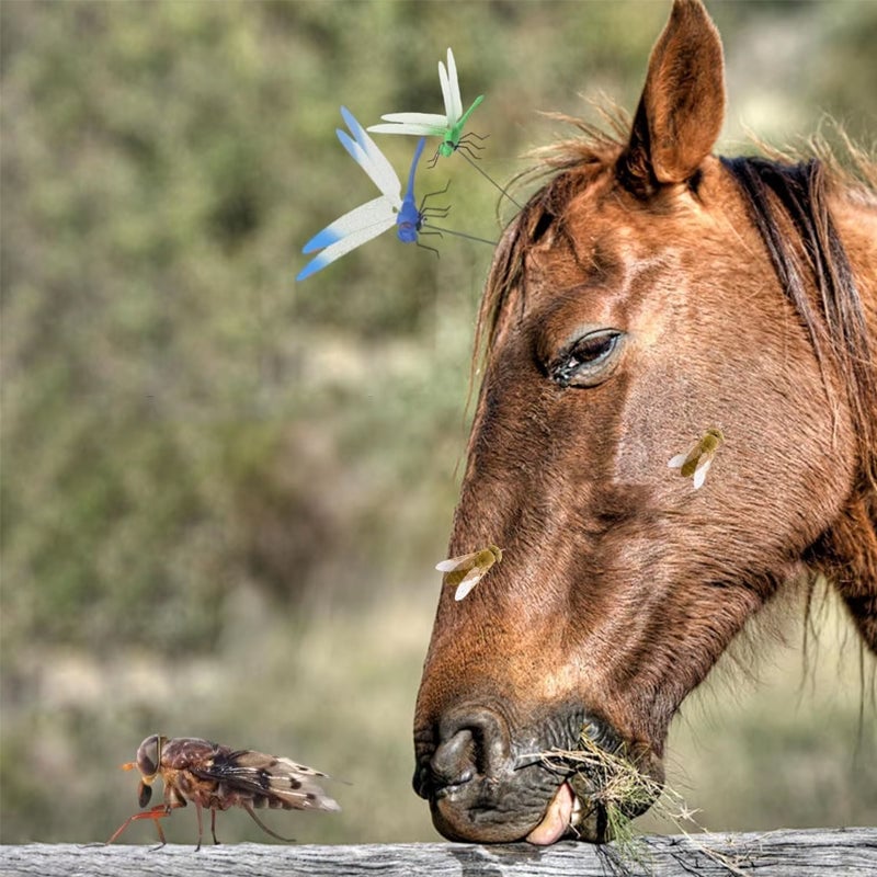 37f7423b-696f-4ec7-432b-c4b09a393d00