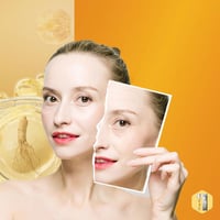  Wildginseng Anti-Aging Essenz