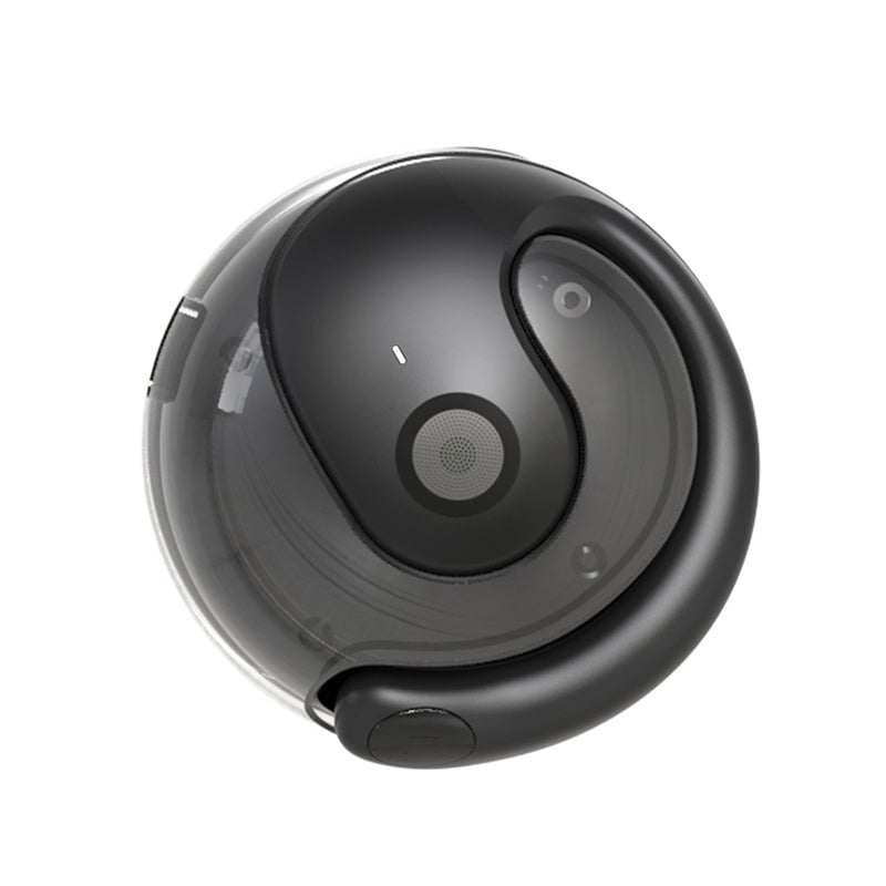 Coconut Ball Bluetooth-oordopjes met ruisonderdrukking
