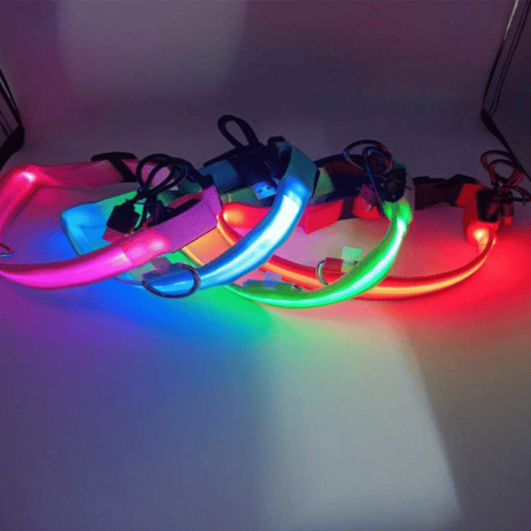 Dog LED Collars