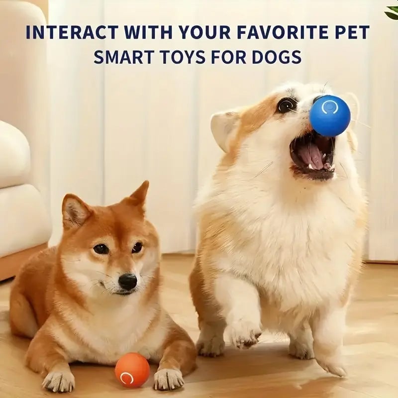 Electric Rolling Pet Toy Ball