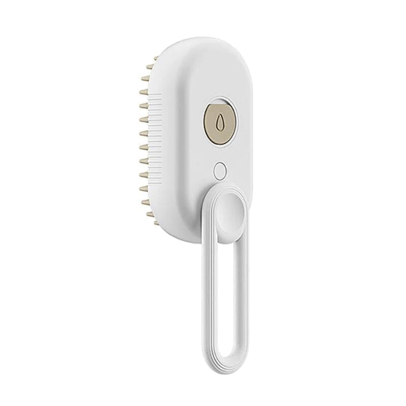 🐶Pet Spray Comb