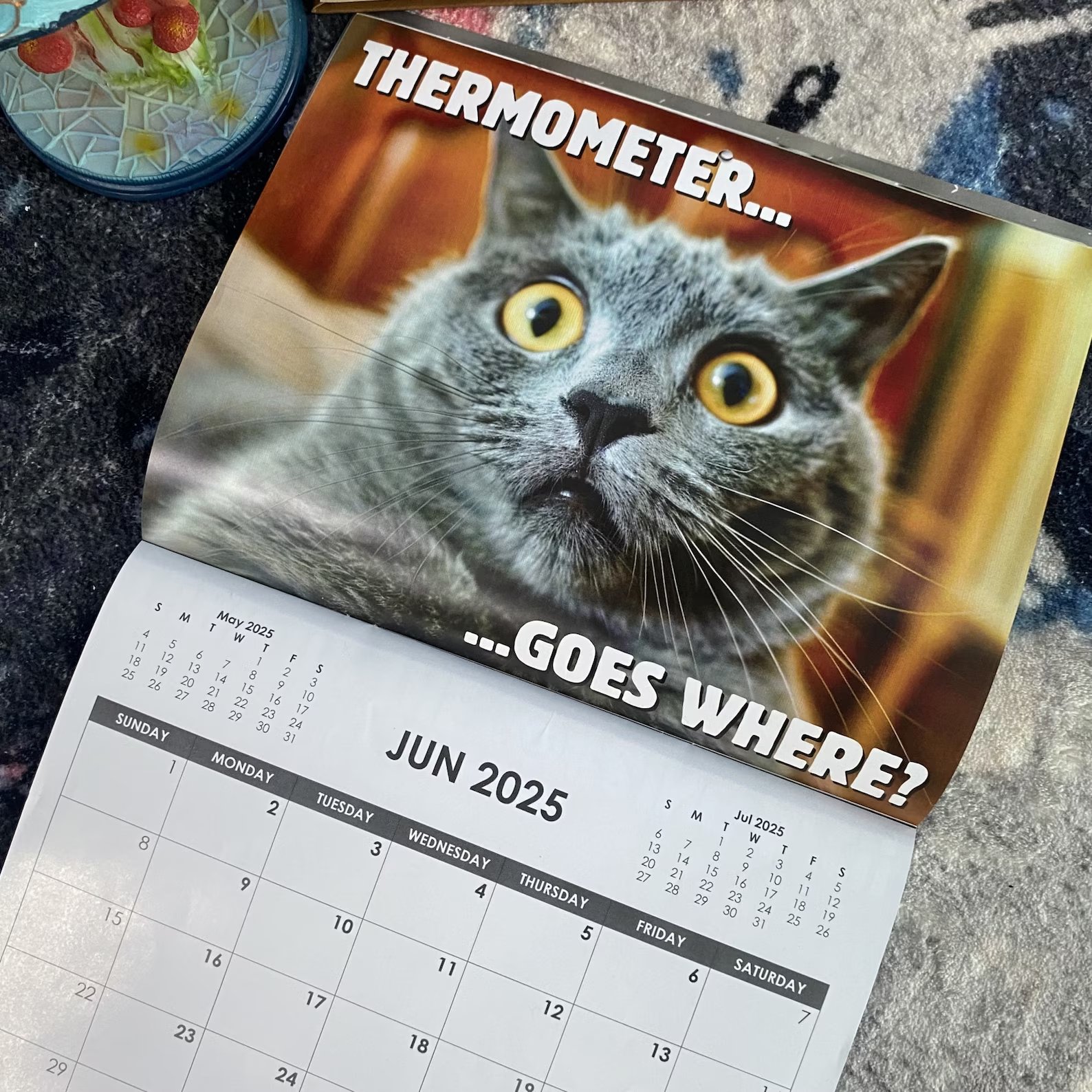 2025 Pissed-off Cats Calendar