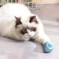 Smart Gravity Cat Teaser Ball