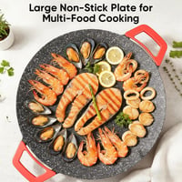 Aless™ Non-Stick Electric BBQ Grill with Temperature Control